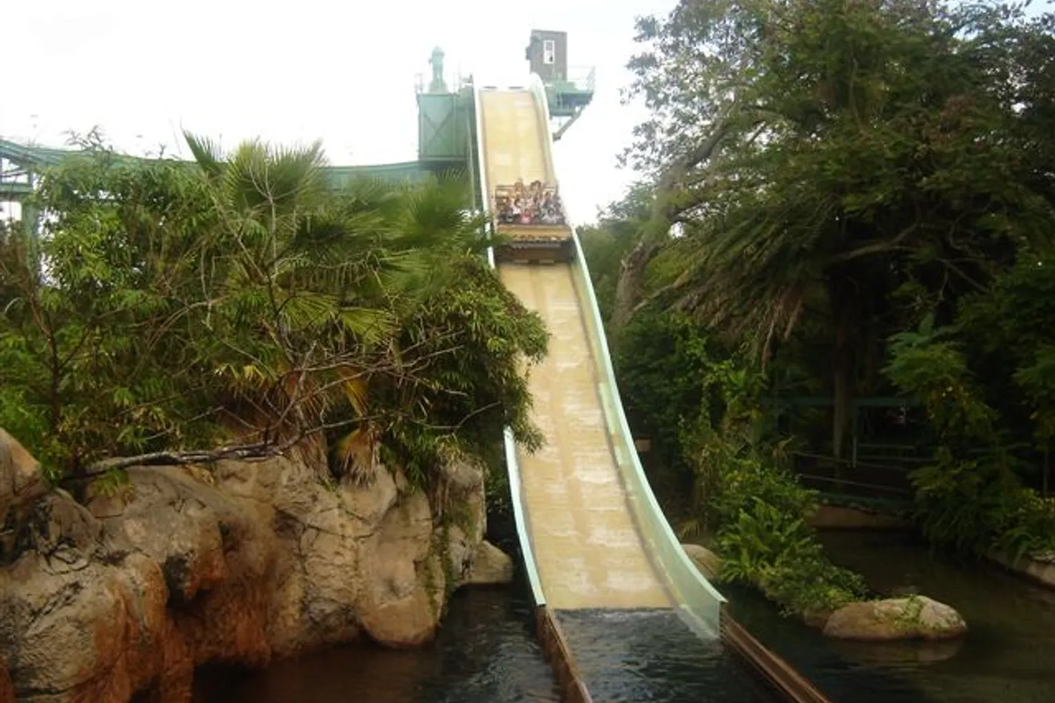 Busch Gardens Tampa Bay: ticket booking and park logistics